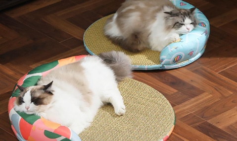 Winning Product Fridays Episode 158