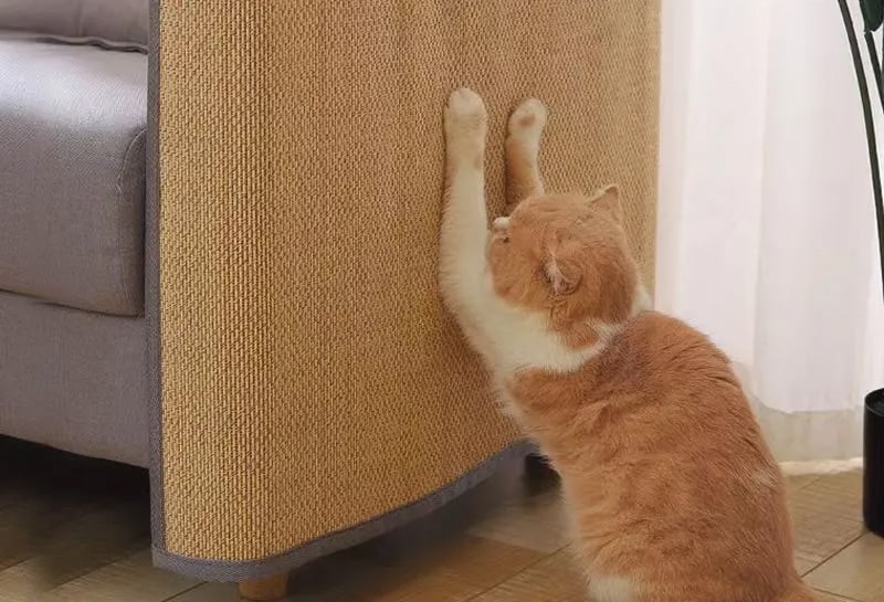 Winning Product Friday Episode 246