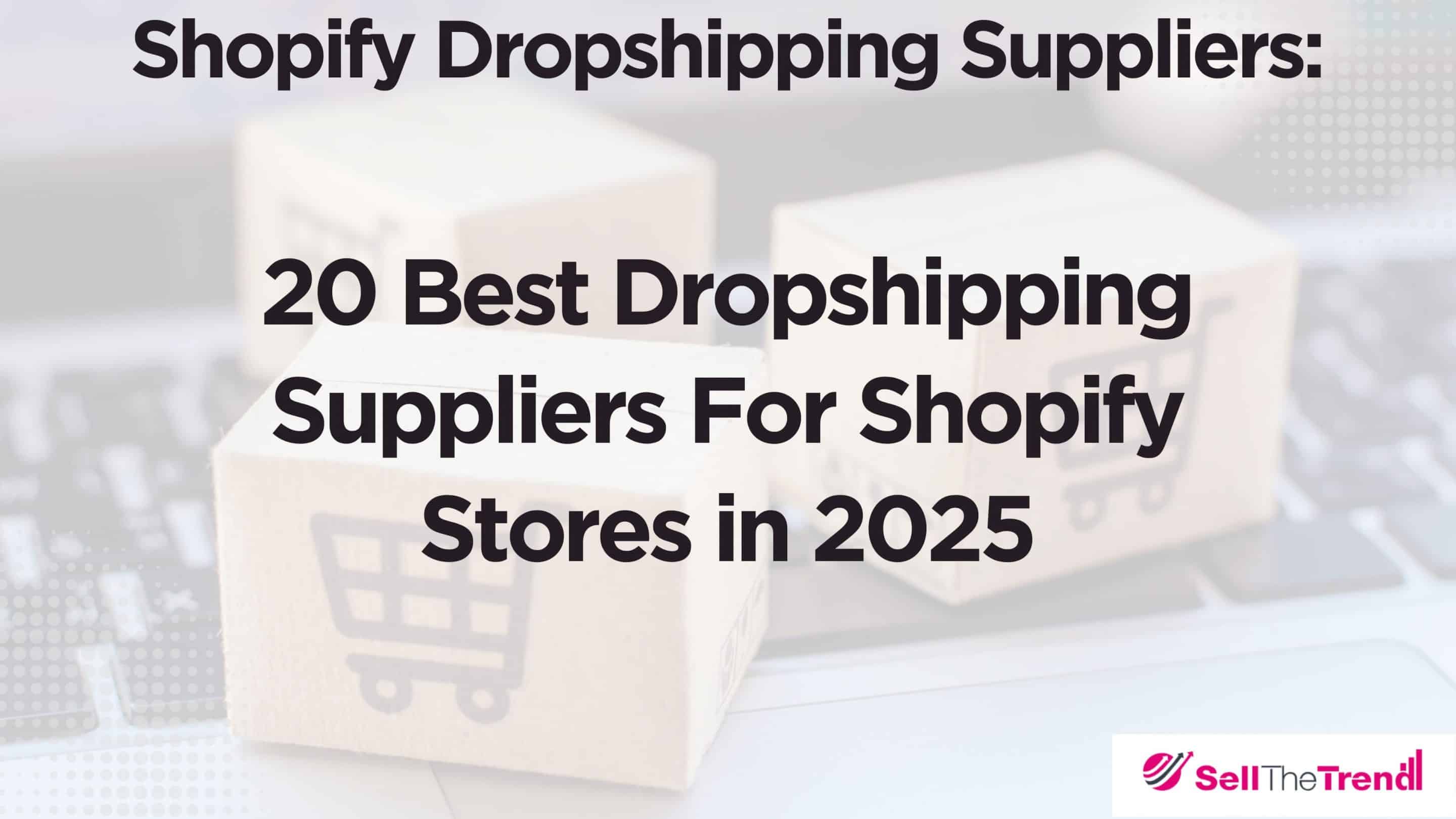Shopify dropshipping suppliers homepage