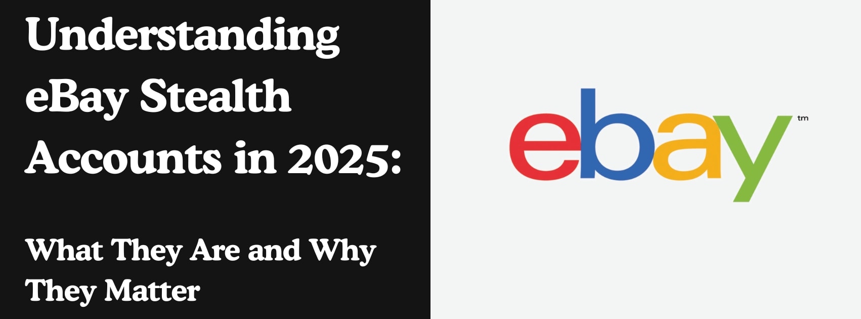 eBay-Stealth-Konten im Jahr 2025 verstehen: Was sie sind und warum sie wichtig sind
